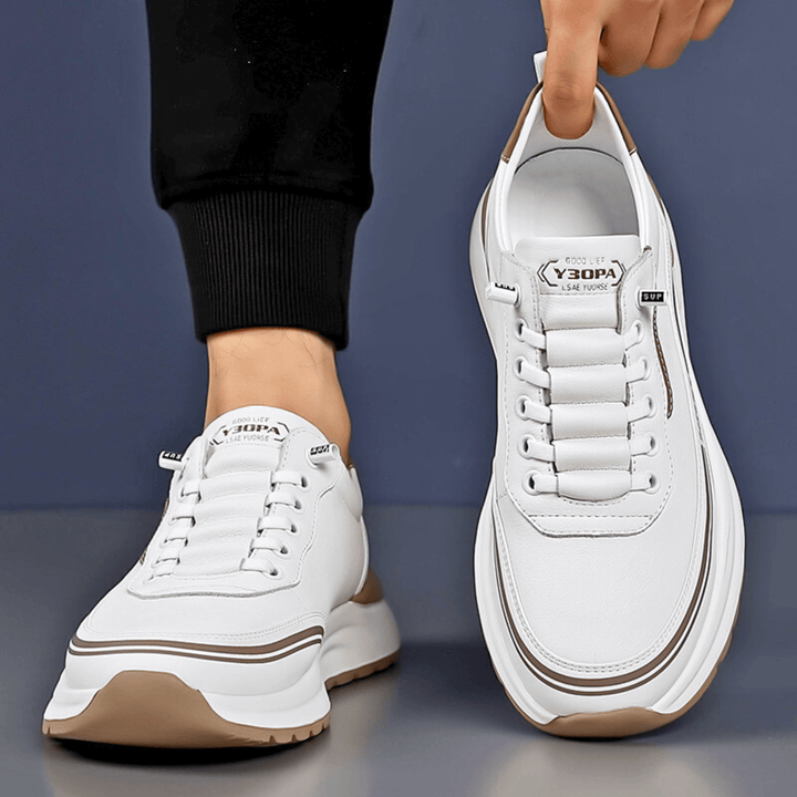 Franklin l  Sneaker